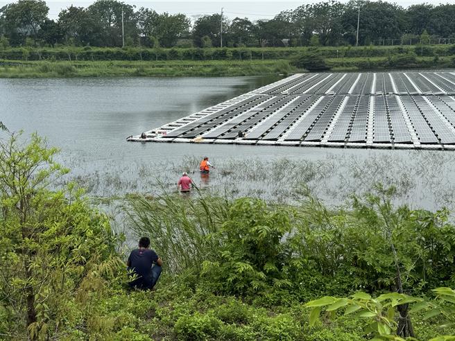 嘉義縣中埔鄉公館滯洪池疑發現鱷魚蹤跡，縣府緊急派員巡查。（嘉義縣政府提供／廖素慧嘉縣傳真）