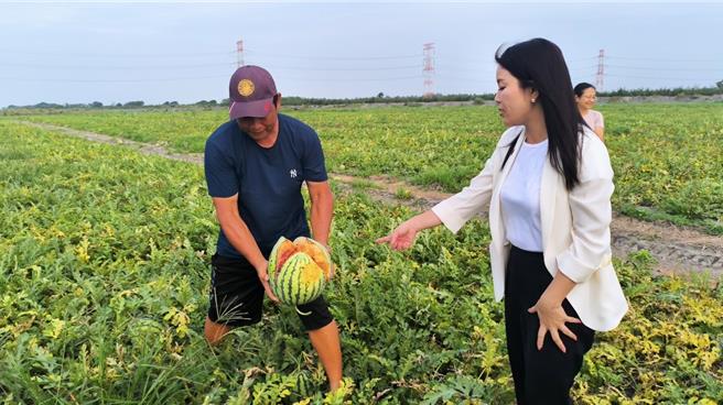 立委張嘉郡7日到二崙鄉西瓜田視察災損。（本報資料照片）