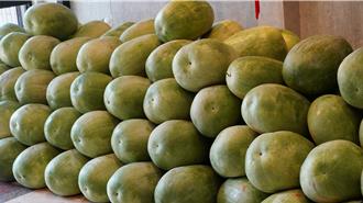 麻豆熱賣300個花蓮西瓜 單日進帳20萬緊急調貨200個