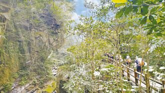 基隆 淡蘭百年山徑 設立台日交流牌