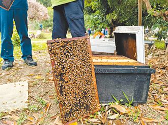 农业部公告 蜂蜜纳天然灾害救助