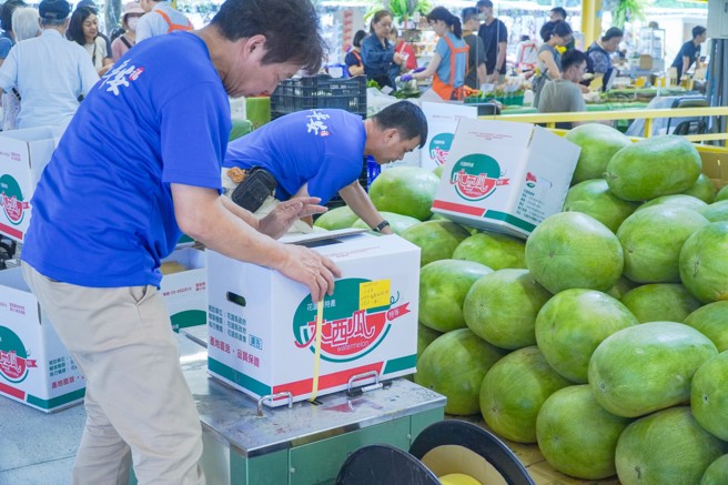 农业部农粮署为相挺花莲农友，11至12日于台北希望广场扩大举办「花莲周」，以「希望与关怀-义卖农产品挺0403花莲震灾」义卖活动开场，义卖所得全数捐赠花莲赈灾专户，当日更有49摊之花莲农友共襄盛举，展售花莲最新鲜、安全及优质的当季农、渔、畜产品。图为业者整理准备销售的花莲大西瓜。（罗永铭摄）