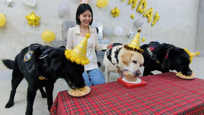议员戴湘仪昨天也到警犬队为三只小寿星庆祝生日。（图 / 翻摄自「新北警犬队脸书粉专」）