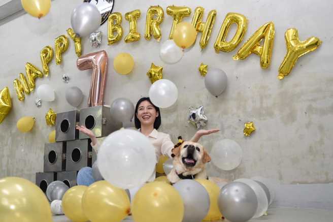 警犬「福星」。（图 / 翻摄自「新北警犬队脸书粉专」）