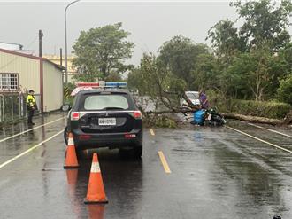 彰化郵務士慘遭樹木砸殉職 任務完成！告別車隊最後巡禮