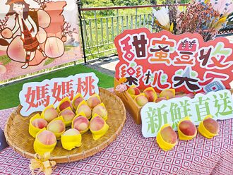 雨季影響 五月桃粒小、水分足