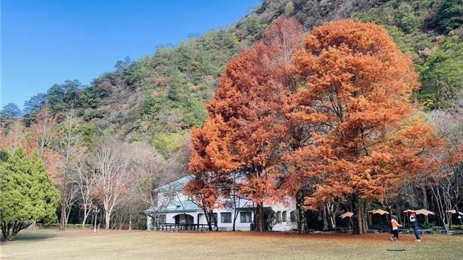 南投县仁爱乡投83线是前往武界、知名赏枫景点「奥万大」等地要道，南投县府自本月13日至6月15日每周一到周六上午8时至下午5时，针对投83线4.42K处进行上边坡保护工程封路管制，呼吁用路人配合。（林业署南投分署提供／潘虹恩南投传真）