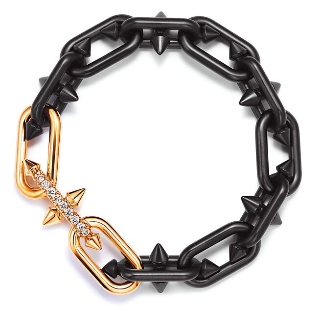 知名歌手菲董與Tiffany合作推出聯名珠寶。（品牌提供）