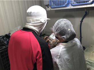 獨》逆轉！台中女中、大華國中食物中毒案 這原因不成立