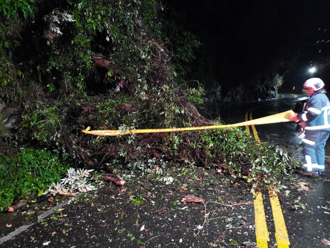 北投一夜2起路樹倒塌 泉源路4米高橫躺馬路警消排除