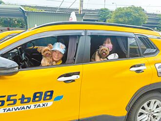 台中推寵物友善計程車 毛孩也能搭