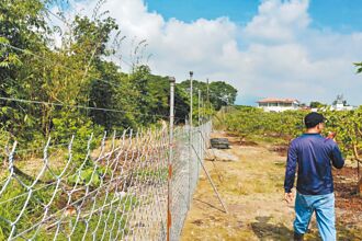 護農作高雄輔導架電網 潮州啟動專案