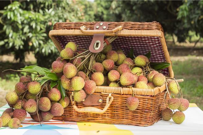 高雄玉荷包荔枝廣受民眾喜愛。（高雄市農業局提供／林瑞益高雄傳真）