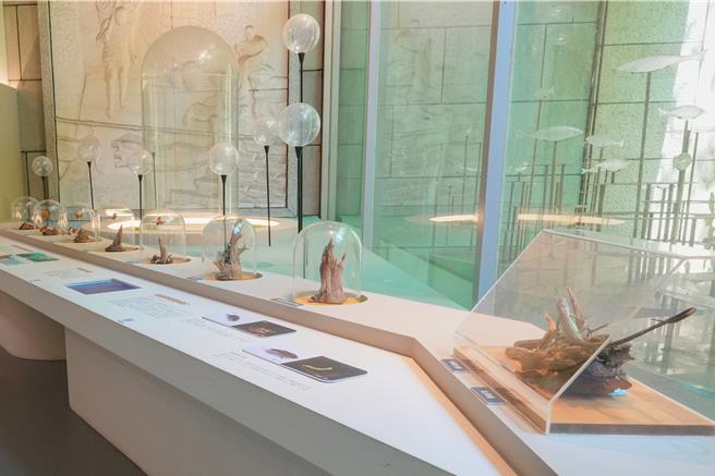 连江县文化处为庆祝马祖民俗文物馆3、4楼更新完成，将于5、6月间举办精彩纷呈的马祖岛屿博物馆系列活动。（连江县文化处提供）