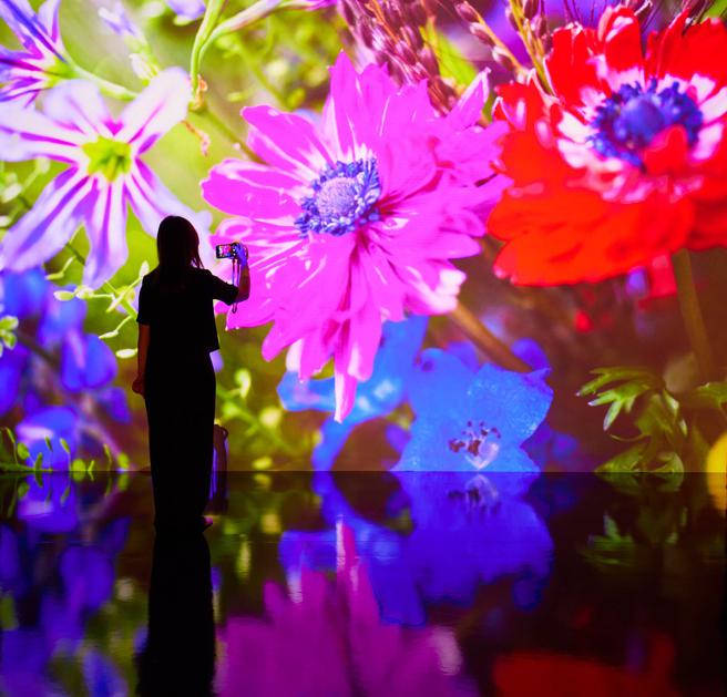 蜷川实花《瞬间的永恒》海外首展 数位艺术投影墙－「独特的一次性体验」。（新光三越提供）