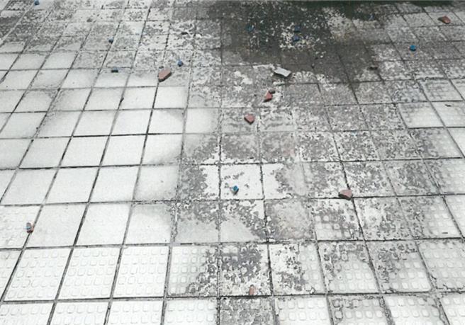 新北市树林高中游泳池老旧，去年5月与原厂商到期后无人维护便停用至今。（民进党籍新北市议员廖宜琨提供）