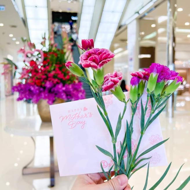 SOGO忠孝、復兴两馆推出应景送康乃馨活动。（SOGO提供）