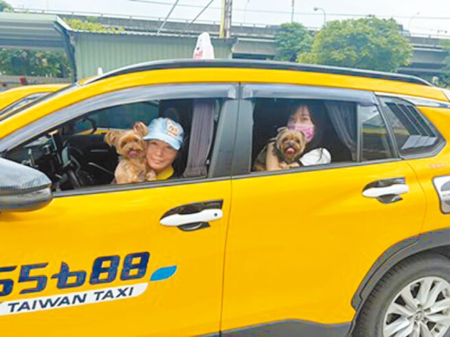 中市推广宠物友善计程车，台中市交通局12日表示，目前已有16家派遣计程车业者提供毛孩共载服务。（台中市交通局提供／陈淑芬台中传真）