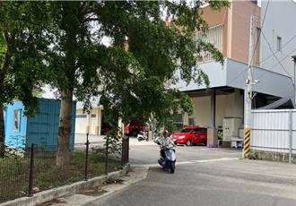 路樹未修剪垂枝、落葉民眾不滿 太平區公所：2月已處理、將會勘