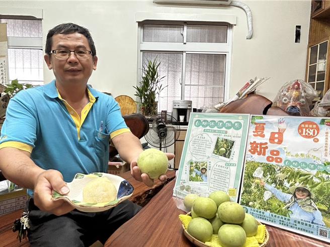 天然冰淇淋「白柿」在屏东县九如乡农会正式上架，1斤180元便宜市价近一半。（谢佳潾摄）