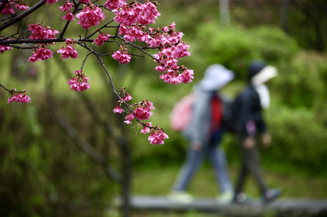 交通部观光署公布今年第1季旅馆业统计资料，整体住客人次及整体平均房价皆较去年同期增加。（资料照）
