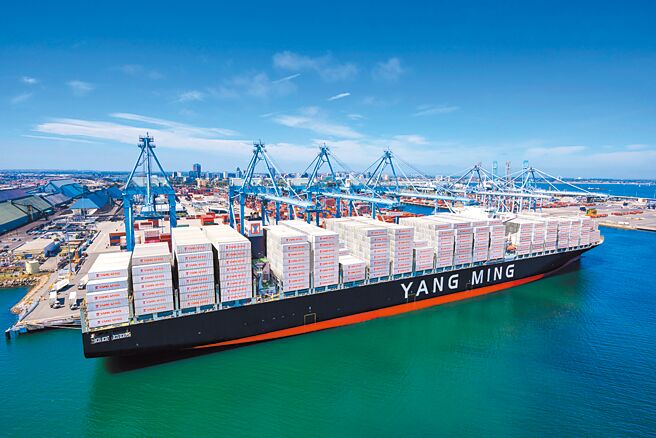 貨櫃三雄13日股價再度攻高。圖為2021年8月陽明海運往美、歐的加班船。（陽明海運提供）