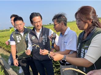 繼稻米後台南絲瓜也出事？立委為農民爭取天災救助