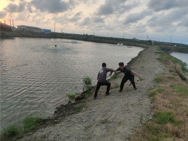 2023年嘉义县精准捕抓专线通报量1947件，海区东石乡、布袋镇及义竹乡海区3乡镇通报数549件，占全县总通报量28.2％。（嘉义县政府提供∕吕妍庭嘉义传真）