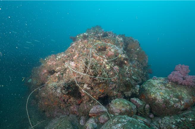 綠色和平盤點國內6大海洋觀光區海上活動，發現大鵬灣、北海岸、東北角名列生態壓力最高前3名，呼籲立法院儘速三讀通過海洋保育法，建立監測和管理系統加以維護。（綠色和平提供／蔡佩珈台北傳真）