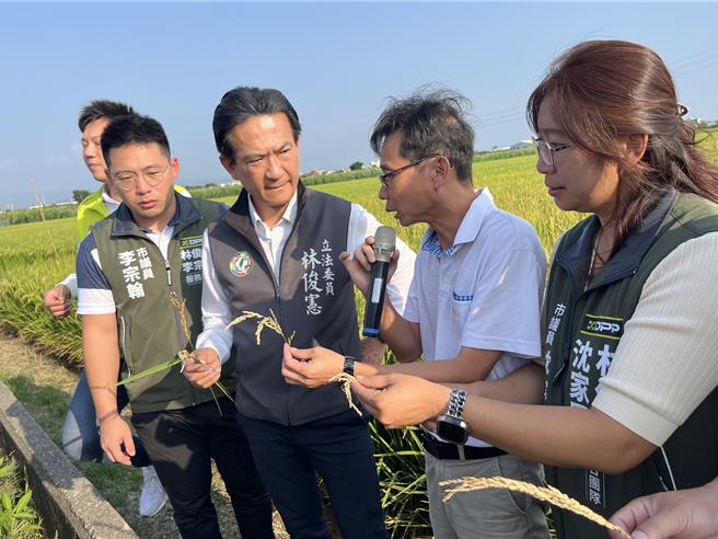 立委林俊宪（右三）与同党籍市议员15日邀农政单位到后壁区稻田了解减产情形。（读者提供／张毓翎台南传真）
