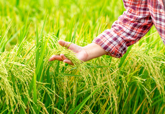 小滿將至 把握4招開運祕法 貴人、事業運暴增