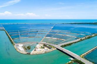 青鲲鯓扇盐地景园区视野绝佳 近距离观赏萌样招潮蟹