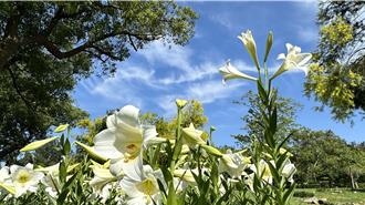 金門好天氣快結束了！下週鋒面接近降雨時間曝光