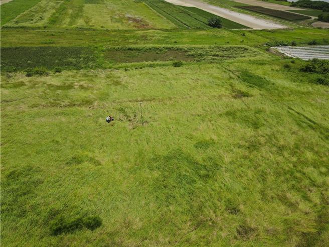 河灘地上一整片的草原及周邊鑲嵌的農田是草鴞喜愛使用的棲地。（林業署嘉義分署提供／寶智華台南傳真）