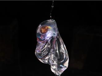 澎湖男夜釣驚見「肉靈芝」 透明果凍竟是溫室救星