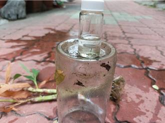 台南這5里注意！登革熱病媒蚊監測指數飆高