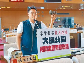 台中 掌葉蘋婆飄豬屎味 民代促移除