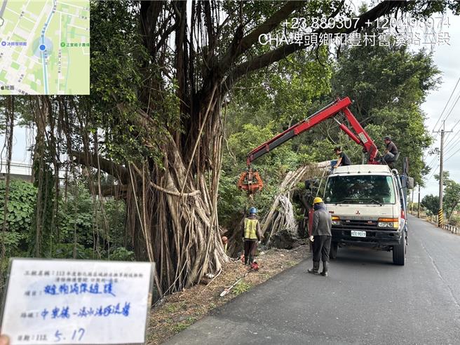 彰化县旧浊水溪南侧护堤榕树倒伏，县议员李俊谕反应恐影响防洪排水，县府水资处于今日派员进场处理。（县府提供／叶静美彰化传真）