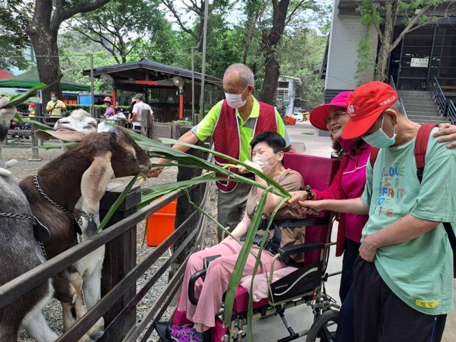 亲子共游休閒农场体验喂羊。（图／高雄市社会局无障碍之家）