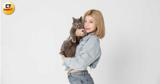 電豹女隊長小楓收編幼貓 預習當新手媽