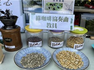 耕耘有成！「綠咖啡協奏曲」將在禮納里遊客中心飄香