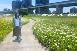 新北河濱「春遊少女的祕密花園」百花盛開到6月