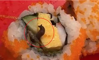 壽司爬出蛞蝓！合點壽司道歉揭來源 2關卡沒揪出