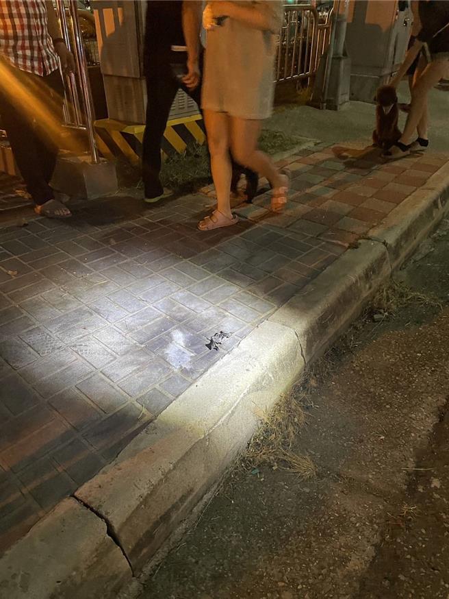 警方到場搜尋時發現人行道上有1異常物品，該物品外觀有明顯的燃爆痕跡。（民眾提供／馮惠宜台中傳真）