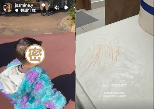 Jasmine在限动细数与儿子的过往。（图／翻摄自Jasmine IG） 