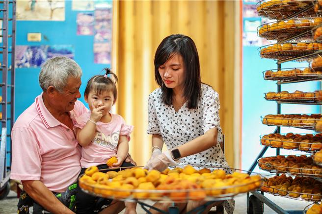新竹縣新埔鎮旱坑社區以生產柿餅聞名，參加農業部舉辦第三屆全國金牌農村競賽通過第1階段初審，進入第2階段決審，圖為味衛佳柿餅教育農園製作柿餅情形。（羅浚濱攝）