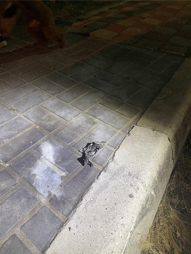 警方到場搜尋時發現人行道上有1異常物品，該物品外觀有明顯的燃爆痕跡。（民眾提供／馮惠宜台中傳真）