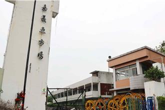 嘉義市立博物館1年10萬人造訪 周邊停車一位難求