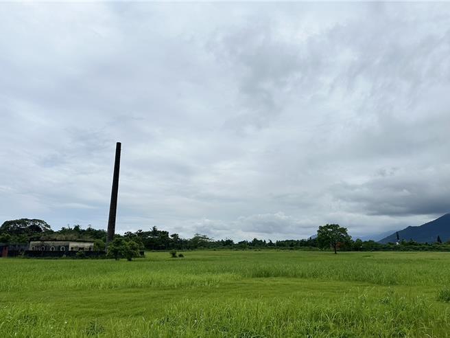 花莲市公所争取体育署4400万经费，计画在佐仓运动公园，建置1座4200平方公尺的8人制足球场，提供学校球队选手训练或举办相关赛事使用。（罗亦晽摄）