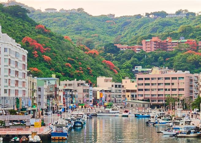 凤凰花除常见于高雄行道树，寿山上也能看见数抹红色花海。（公园处提供／任义宇高雄传真）